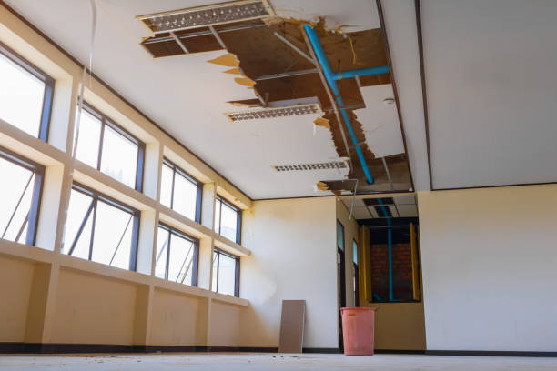 Best Sewage cleanup and water damage restoration  in Biggs, CA