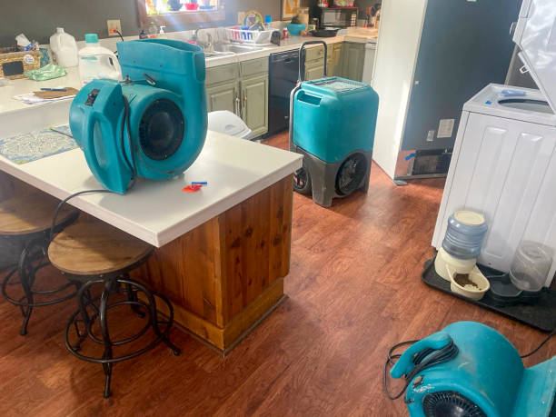 Best Sewage cleanup and water damage restoration  in Biggs, CA