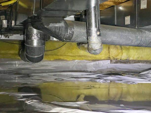 Best Professional water damage repair  in Biggs, CA
