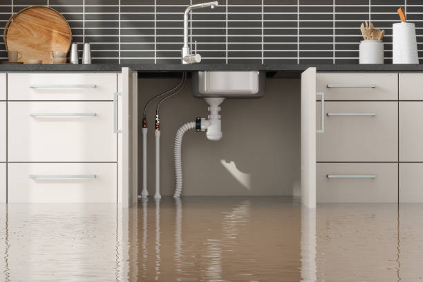 Best Emergency water damage restoration  in Biggs, CA